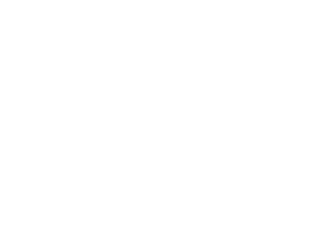Shipping Icon